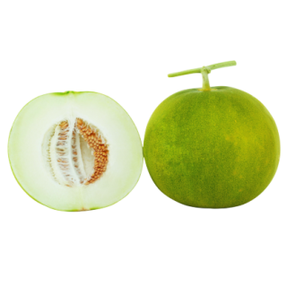 Ramyaa Muskmelon From  Known You Seed (India) (1)kyi